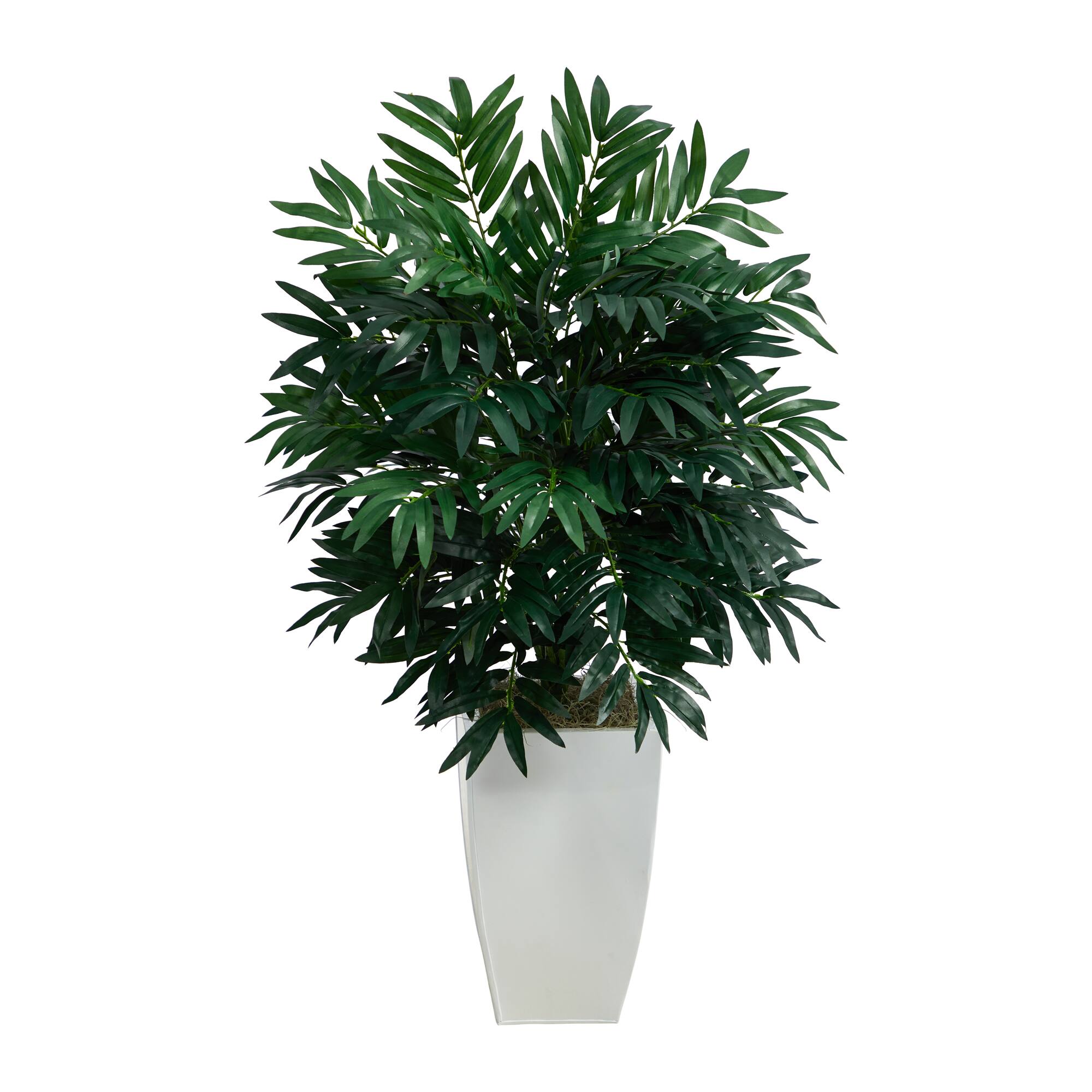 3ft. Bamboo Palm Plant in Decorative White Metal Planter